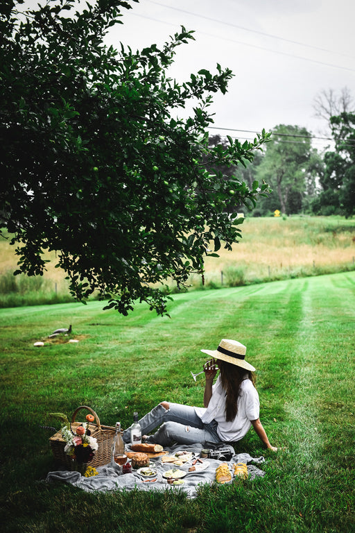 August 18: Picnic Box